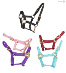Deluxe Mini Halter
