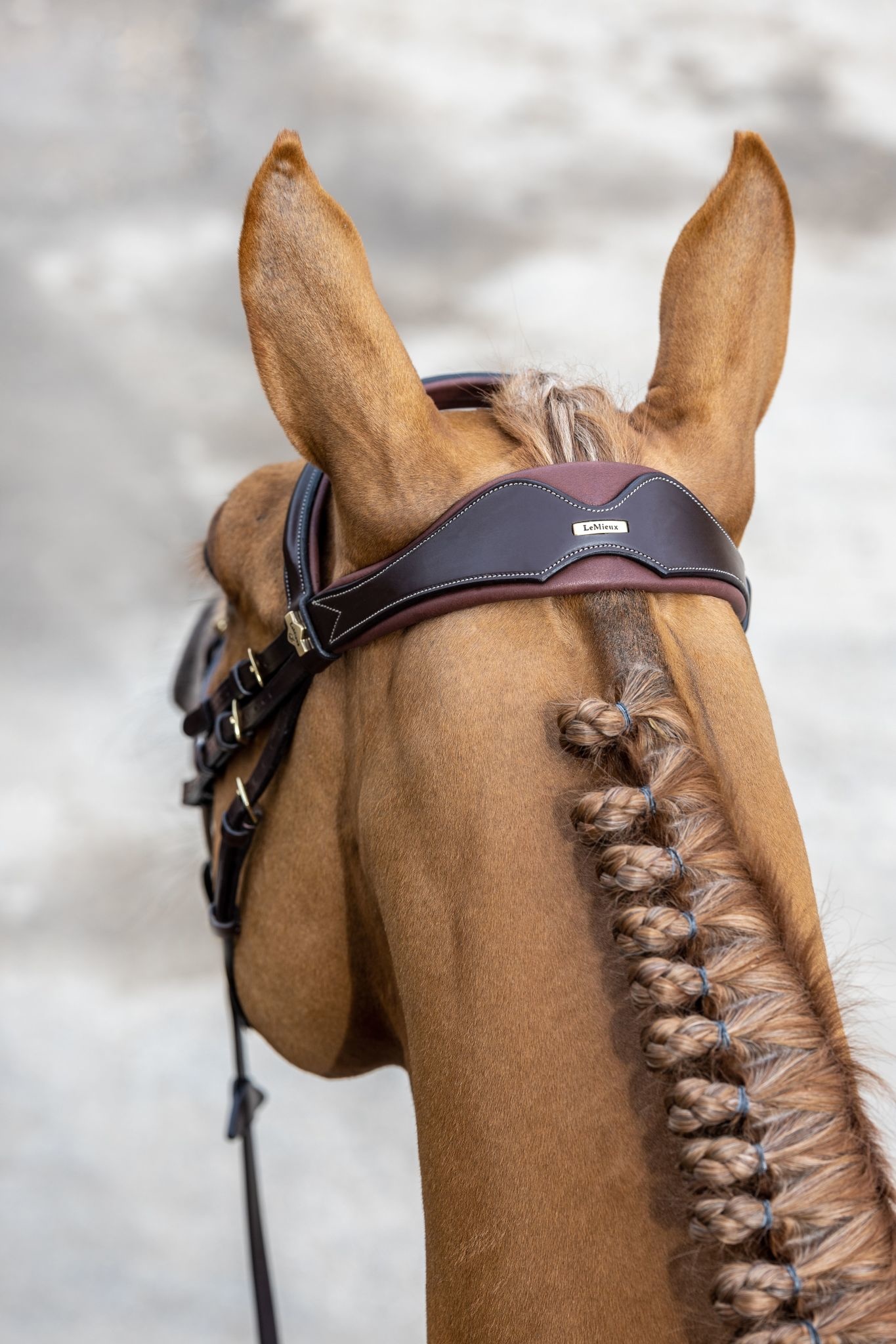 LeMieux LeMieux Competition Flash Bridle