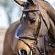 LeMieux LeMieux Competition Flash Bridle