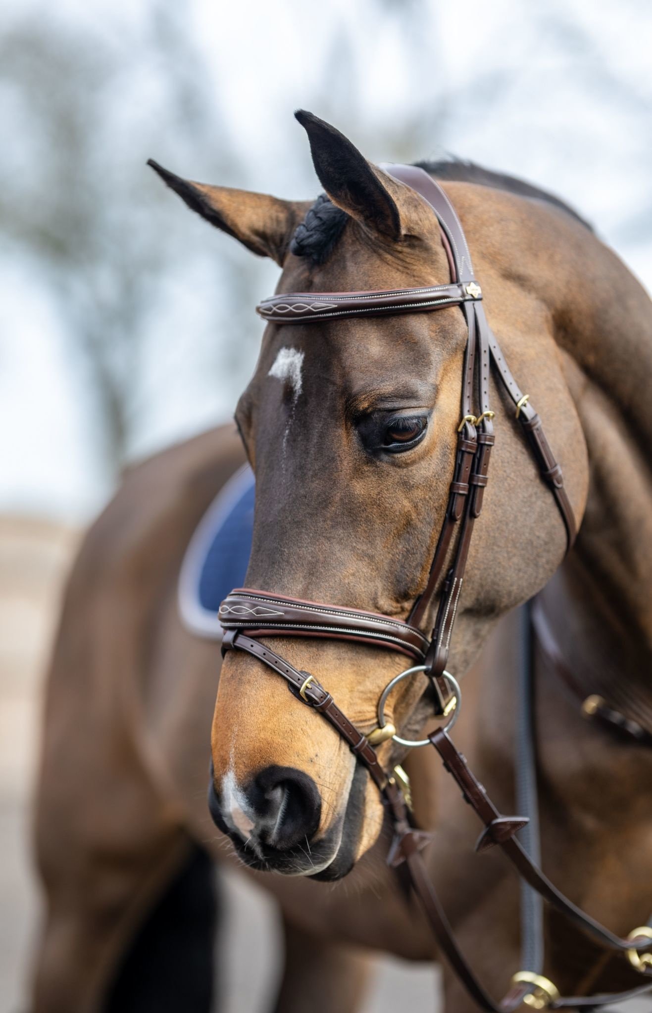 LeMieux LeMieux Competition Flash Bridle