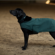 Equestrian Stockholm Equestrian Stockholm Dog Rug, Sycamore Green