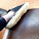 Hairy Pony Hairy Pony Merino Wool Horse Polishing Mitt