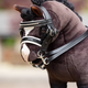 LeMieux LeMieux Toy Pony Double Bridle