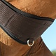 Essential Schooling Girth w/ smartfabric liner
