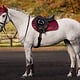 LeMieux LeMieux Loire Classic Close Contact Square Saddle Pad