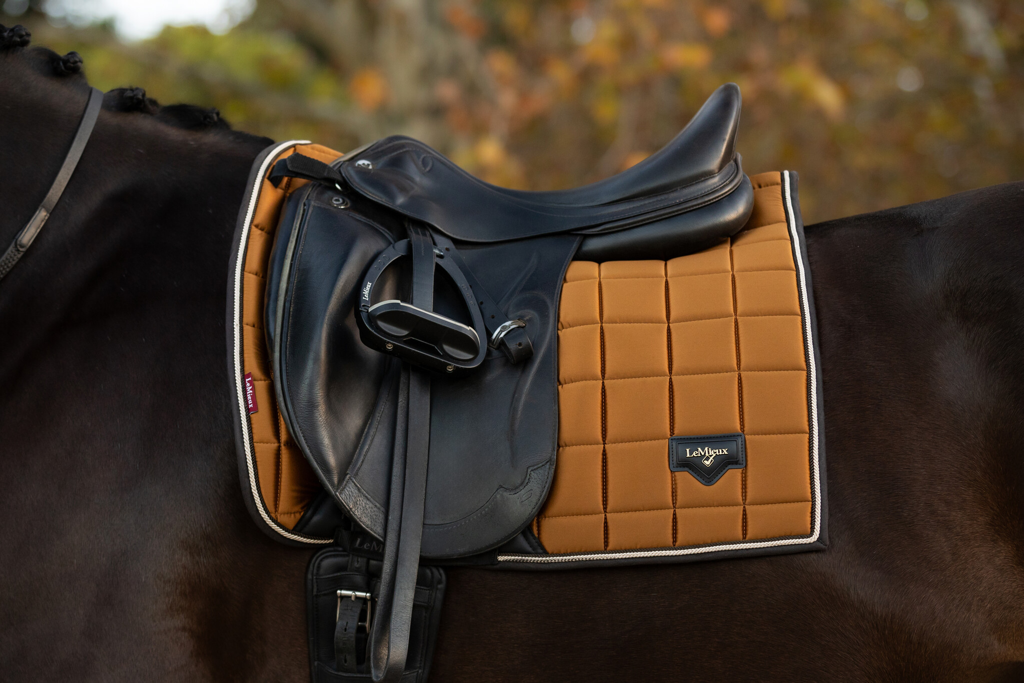 LeMieux LeMieux Loire Satin Classic Dressage Square Saddle Pad