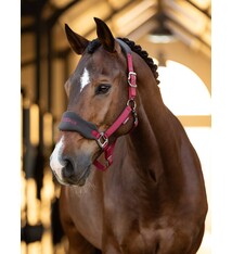 LeMieux LeMieux Vogue Fleece Headcollar and Rope