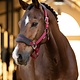 LeMieux LeMieux Vogue Fleece Headcollar and Rope