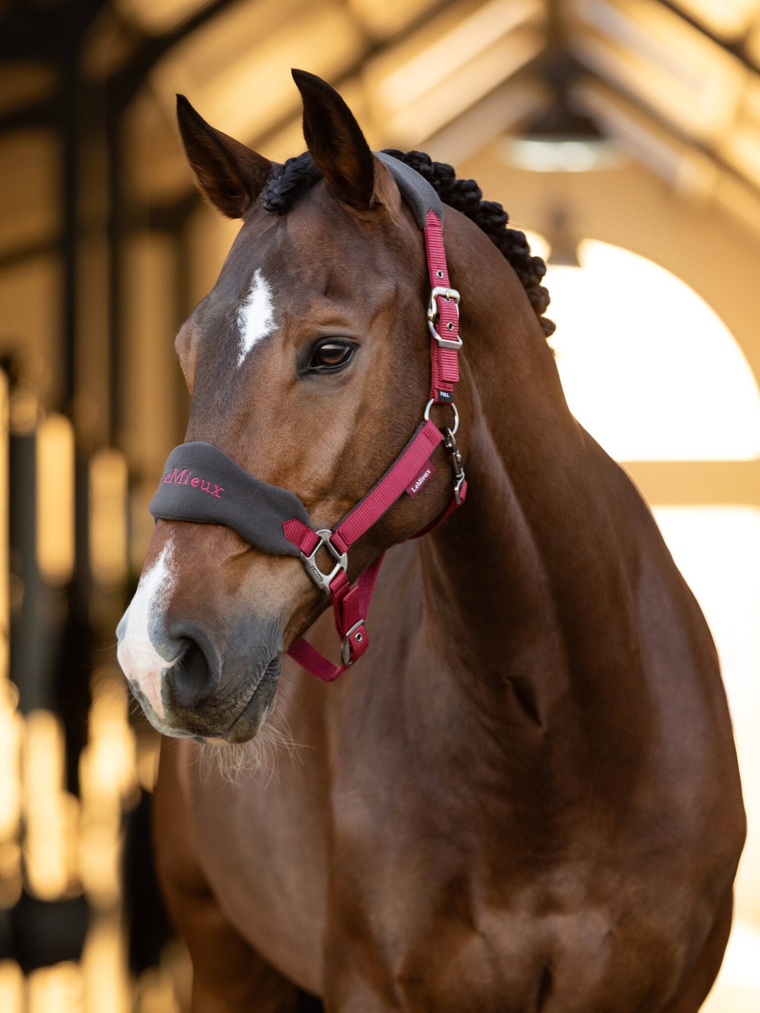 LeMieux LeMieux Vogue Fleece Headcollar and Rope