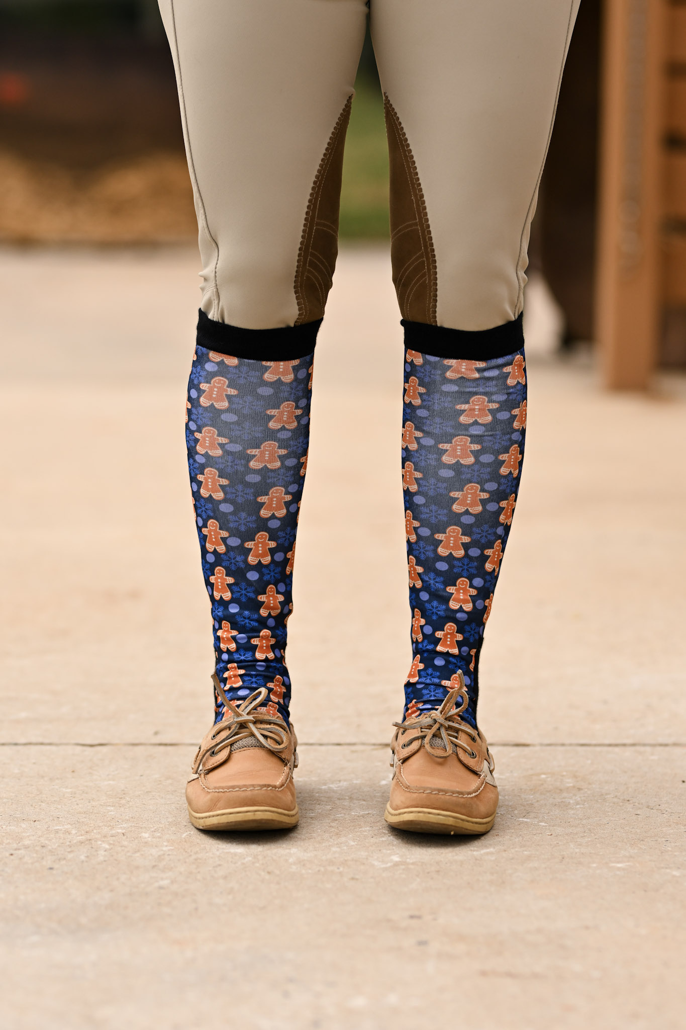Dreamers and Schemers 2023 Dreamers and Schemers Holiday Socks