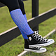Dreamers and Schemers 2023 Dreamers and Schemers Holiday Socks