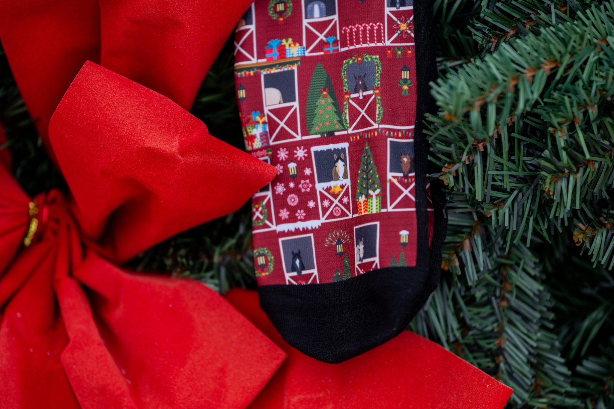 Dreamers and Schemers 2023 Dreamers and Schemers Holiday Socks