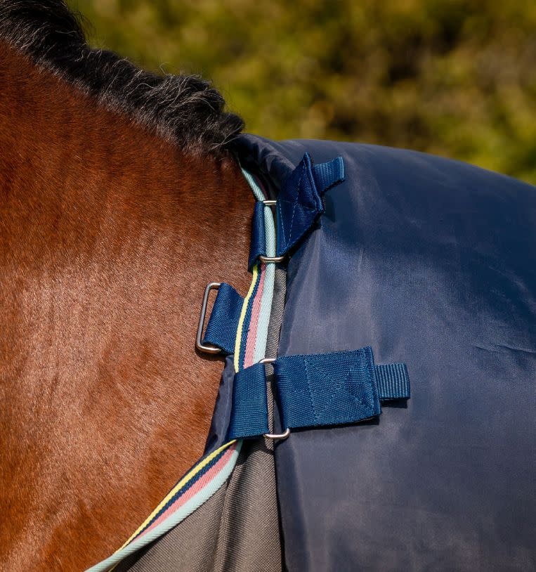 Rambo Amigo® Bravo 12 Plus Turnout (250g Medium)