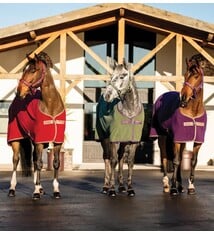 Amigo Amigo Fleece Cooler