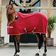 Amigo Amigo Fleece Cooler