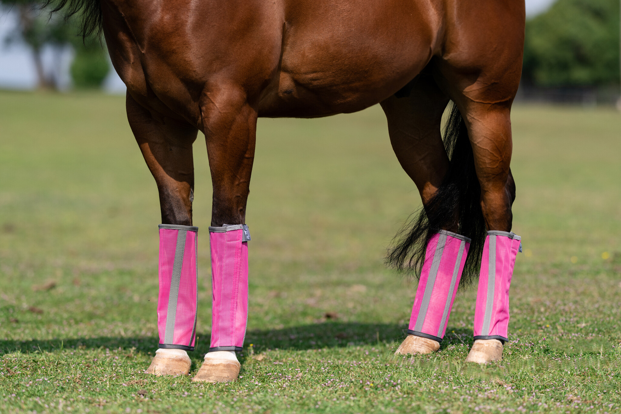 Professionals Choice Deluxe Fly Boots pack of 4