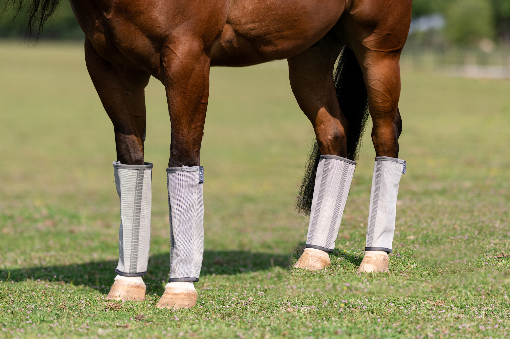 Professionals Choice Deluxe Fly Boots pack of 4