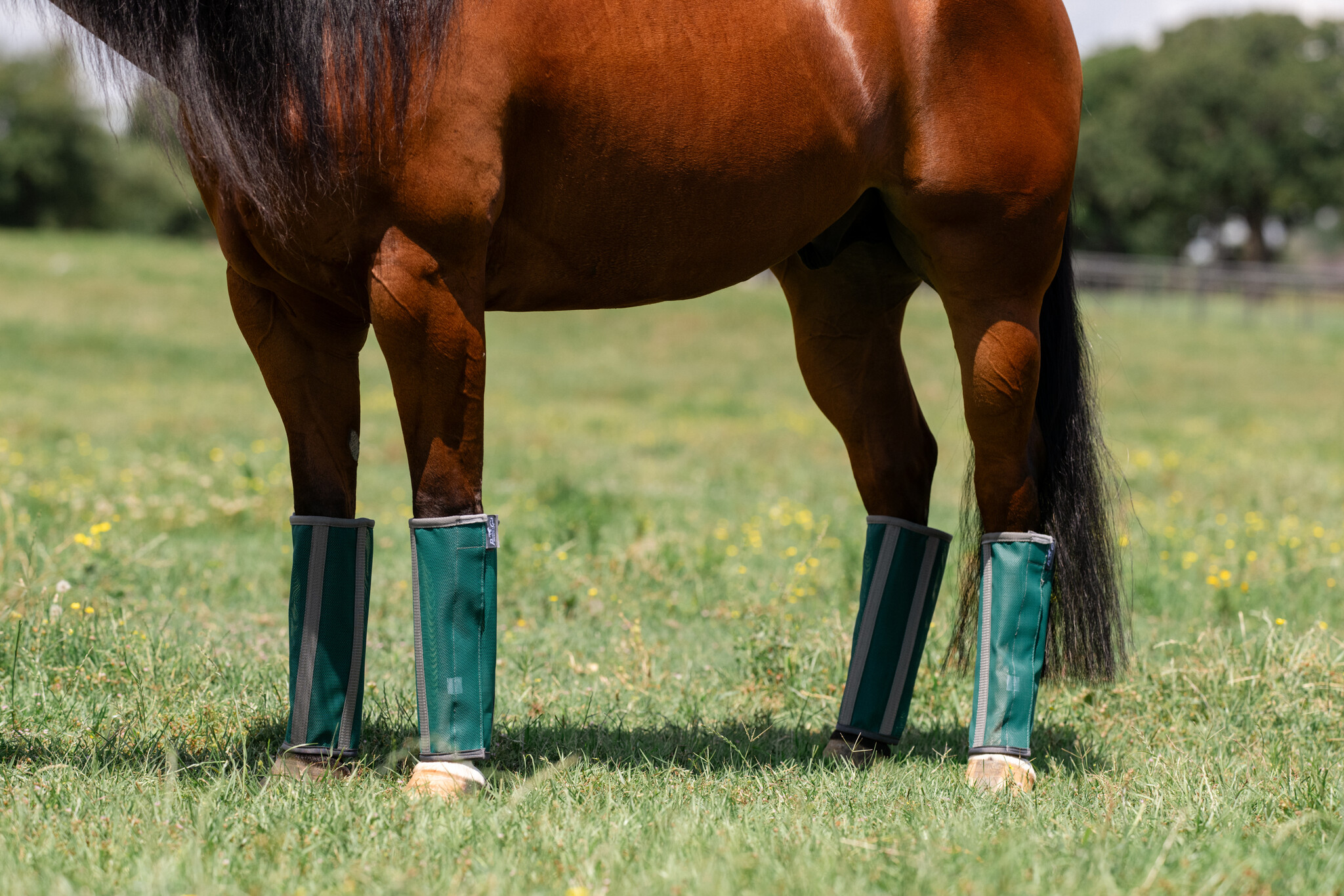 Professionals Choice Deluxe Fly Boots pack of 4