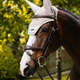 LeMieux LeMieux Finesse Acoustic Fly Hood