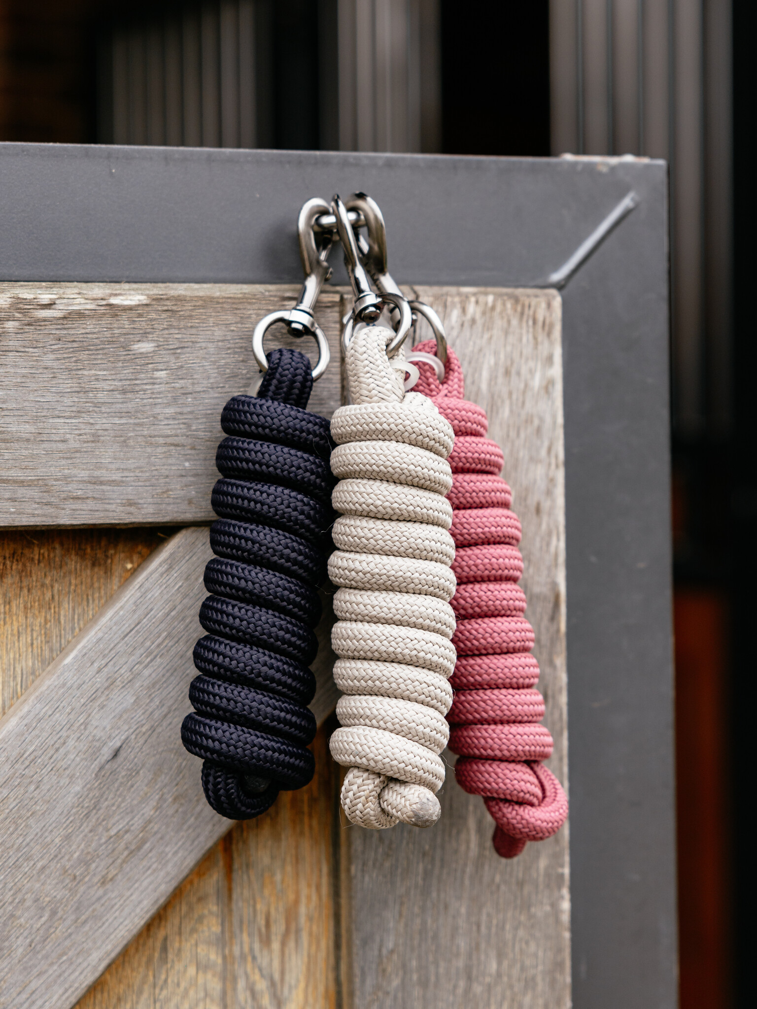 LeMieux Essence Leadrope