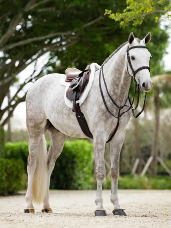 LeMieux Merino+ ProSorb Hunter Saddle Pad White/White