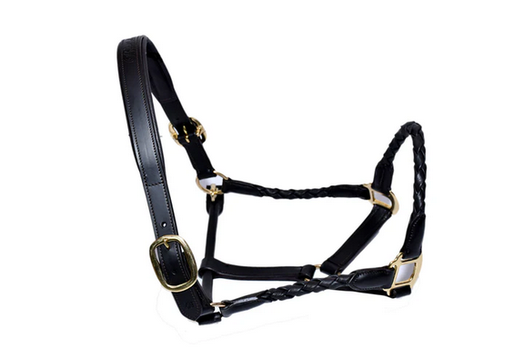 Bridleberry #1-Leather Halter w/ Barrel Braided Nose and Cheek Design
