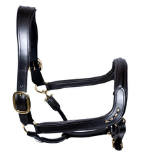 Bridleberry # 5 -Leather Show Halter w/row of Gems at the Curve of the Nose Band, Designed for a Clip Lead