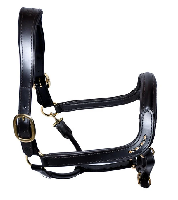 Bridleberry # 5 -Leather Show Halter w/row of Gems at the Curve of the Nose Band, Designed for a Clip Lead