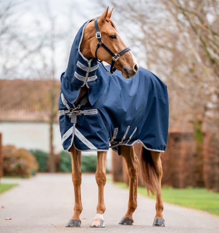 Amigo Amigo® 1200D Integrated Turnout 0g