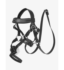 LeMieux LeMieux Toy Pony Grackle Bridle