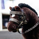 LeMieux LeMieux Toy Pony Hunter Bridle, Brown