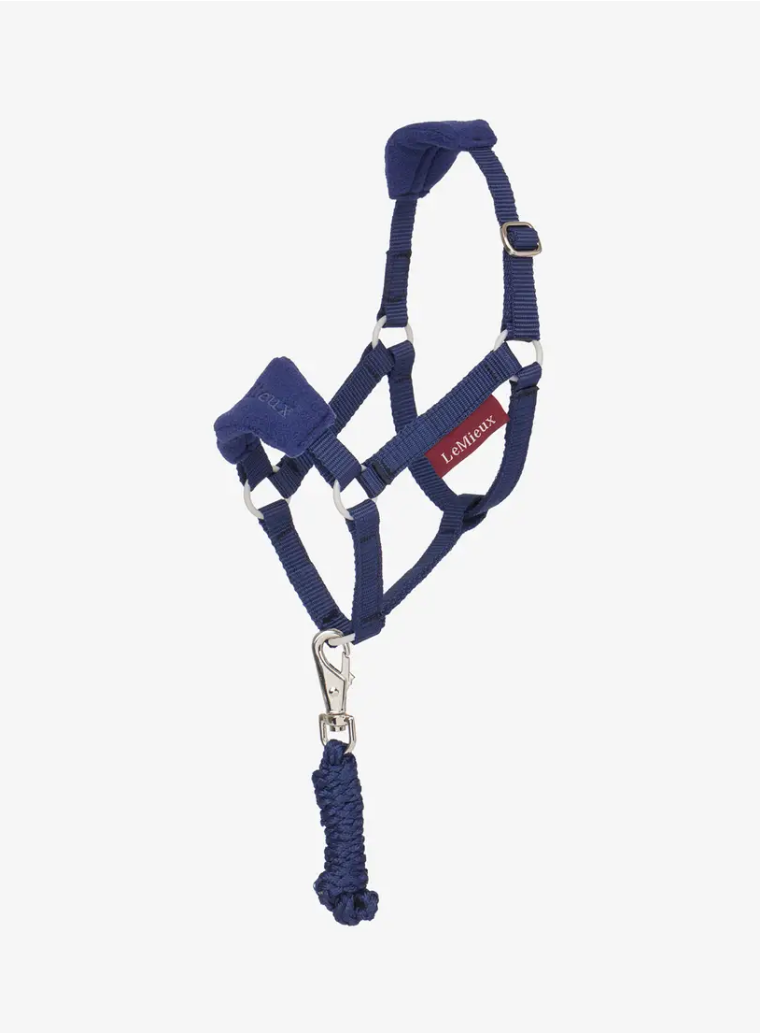LeMieux LeMieux Hobby Horse Vogue Headcollar and Leadrope