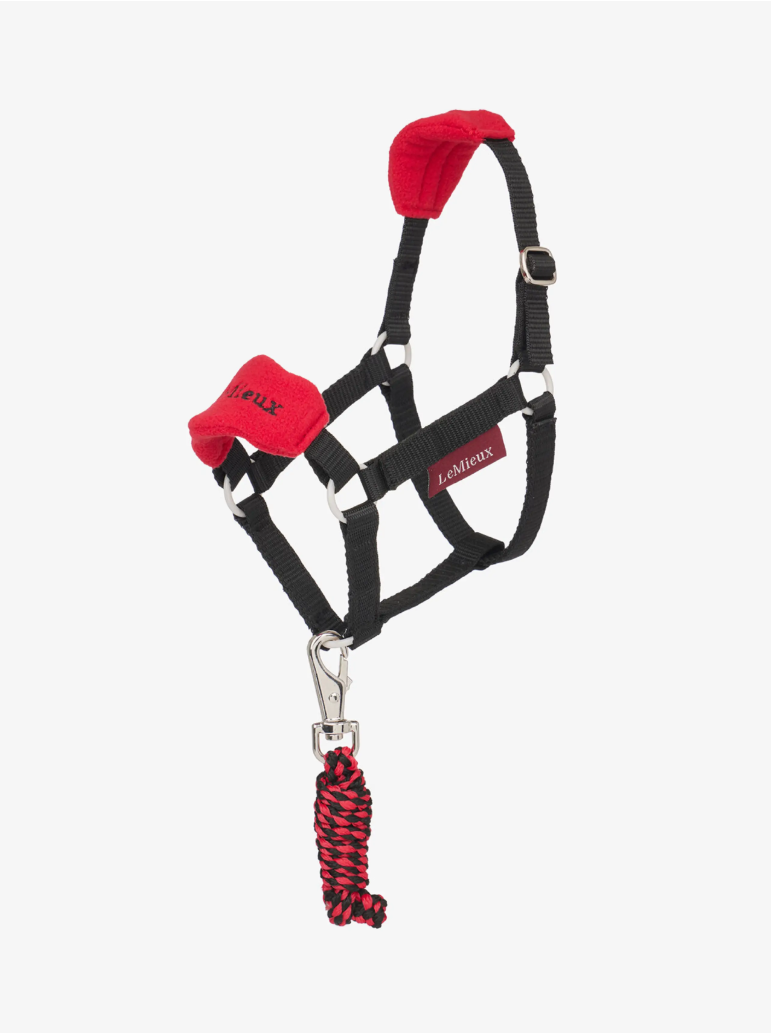 LeMieux LeMieux Hobby Horse Vogue Headcollar and Leadrope