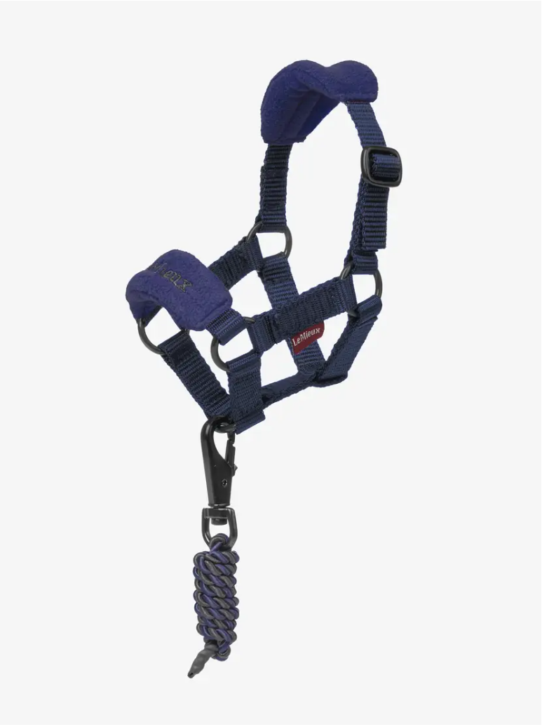 LeMieux LeMieux Toy Pony Headcollar