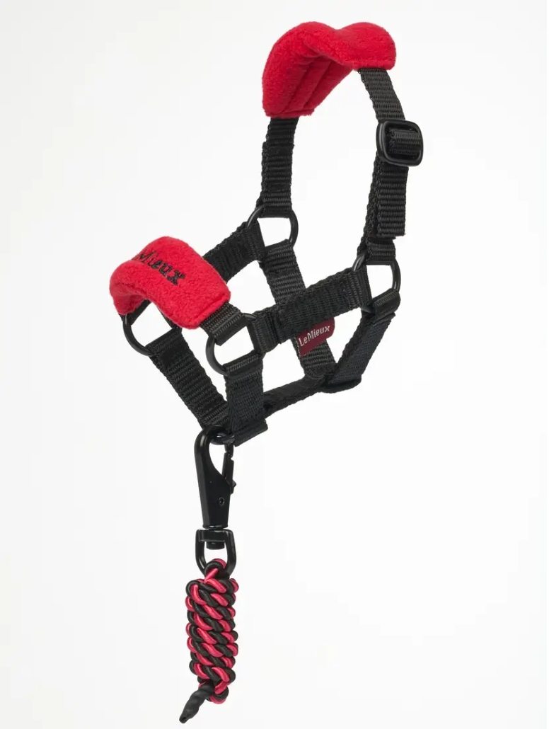 LeMieux LeMieux Toy Pony Headcollar