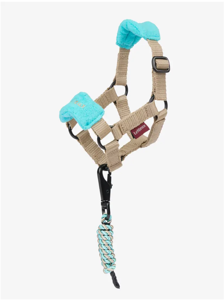 LeMieux LeMieux Toy Pony Headcollar