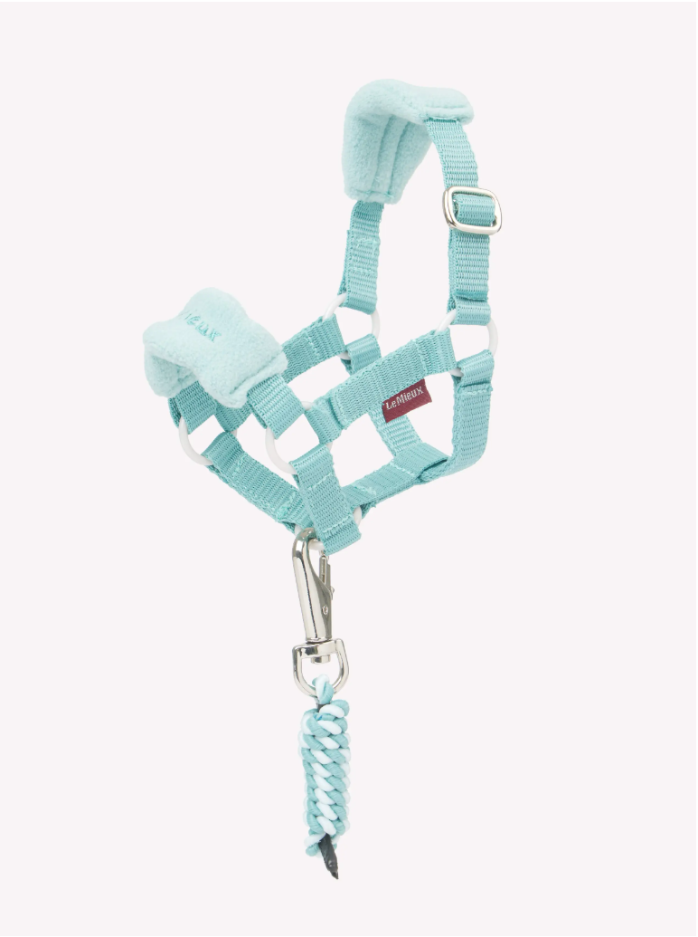 LeMieux LeMieux Toy Pony Headcollar