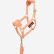 LeMieux LeMieux Hobby Horse Vogue Headcollar and Leadrope