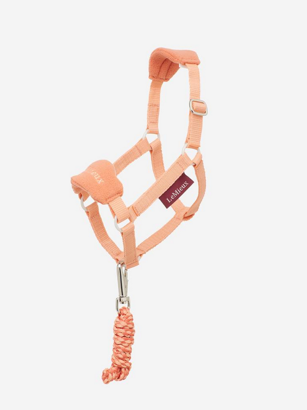 LeMieux LeMieux Hobby Horse Vogue Headcollar and Leadrope