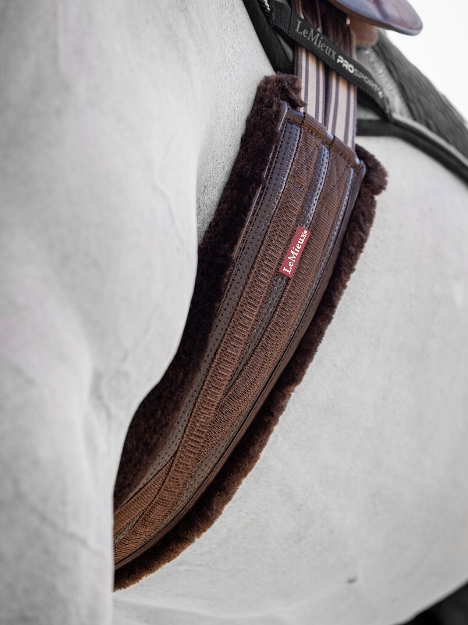 LeMieux Lemieux Fleece Lined Anatomic Girth