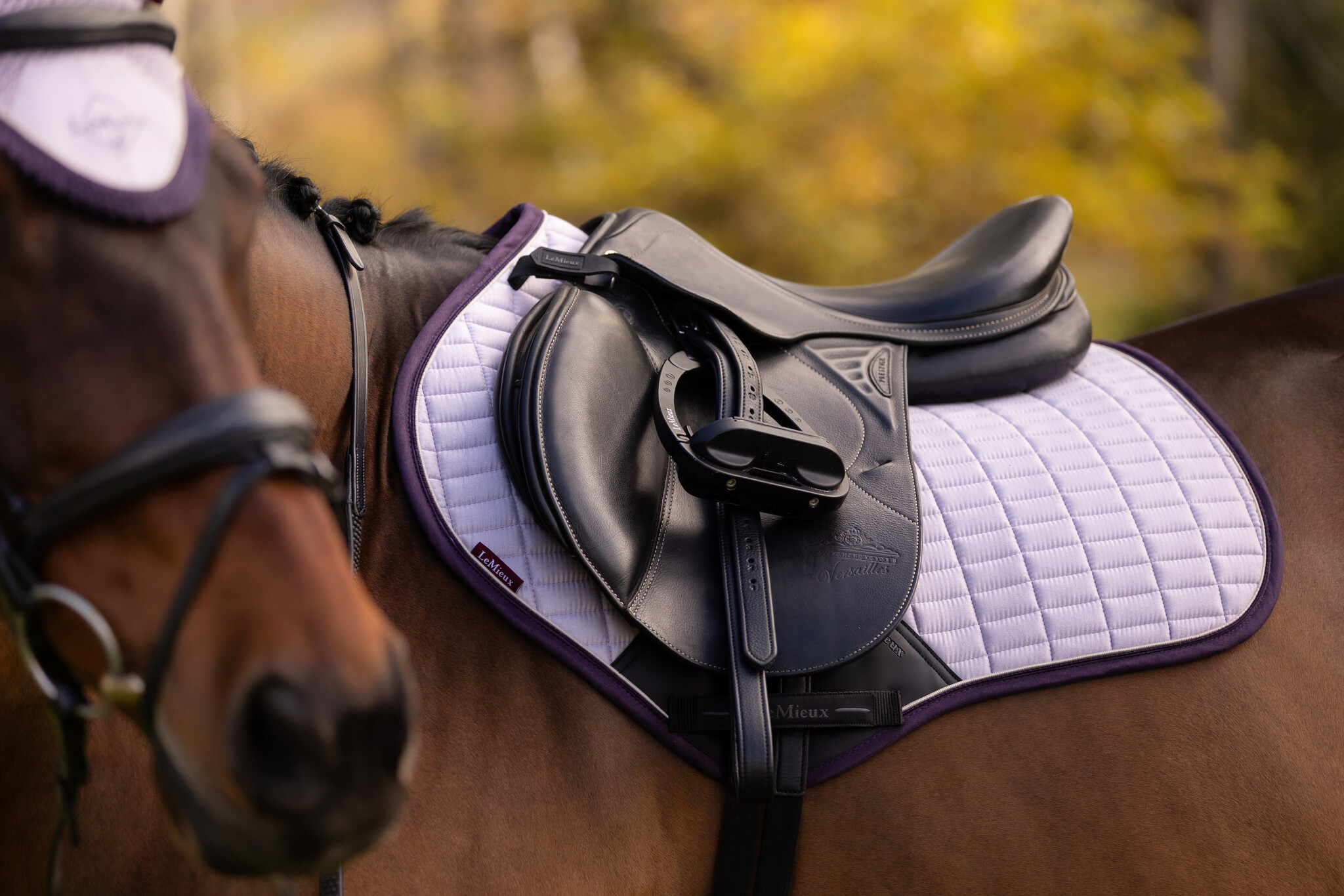 LeMieux Lemiuex Suede Close Contact Square