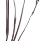 KL Select Red Barn Round Raised Fancy Running Martingale
