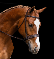 KL Select Red Barn Hudson Bridle