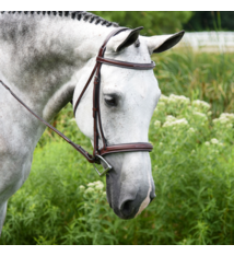 KL Select KL Select Middleburg Bridle