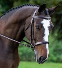 KL Select KL Select Tuscany Bridle