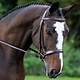 KL Select KL Select Tuscany Bridle