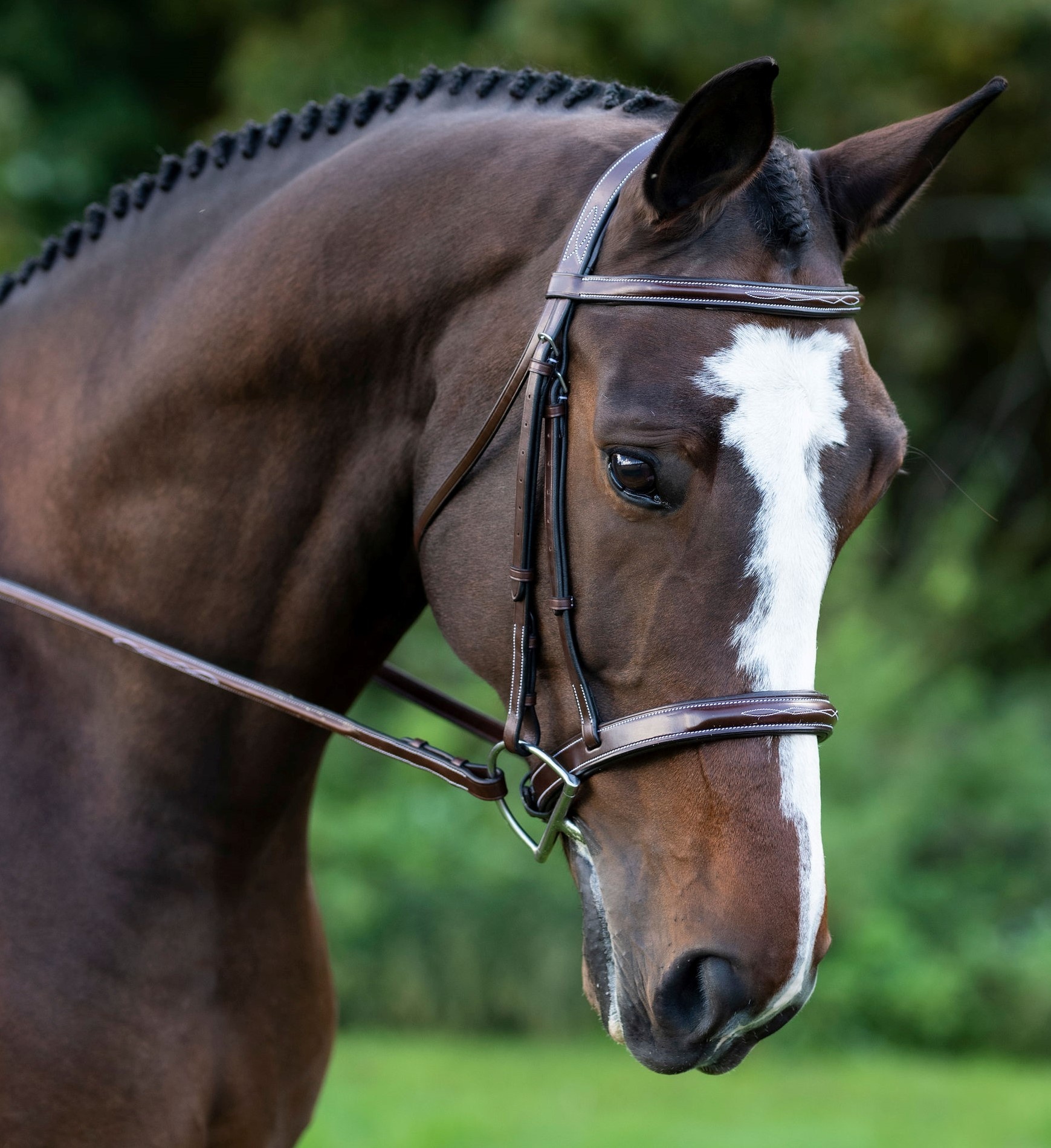 KL Select KL Select Tuscany Bridle