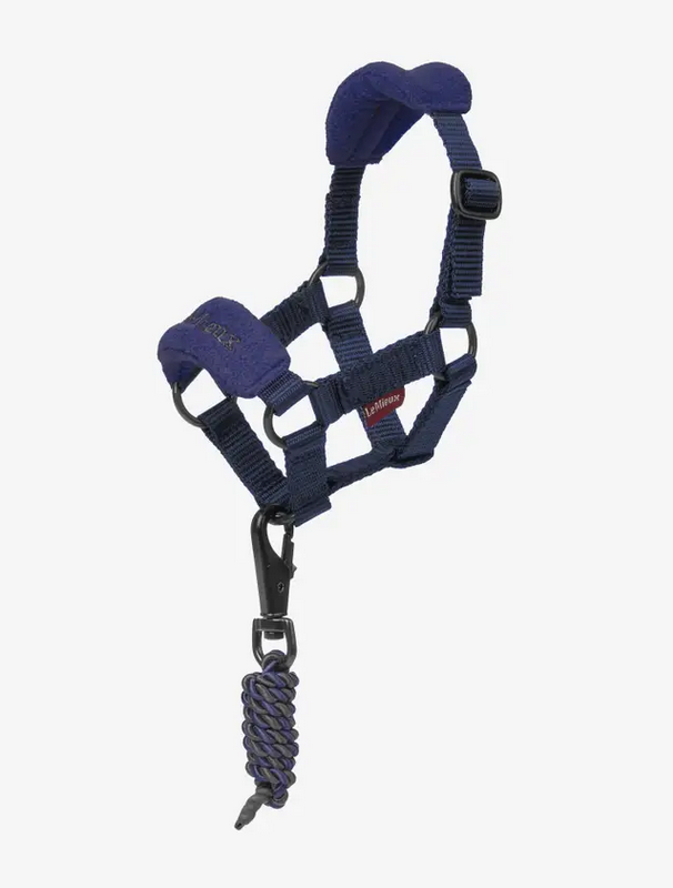 LeMieux LeMieux Toy Pony Headcollar