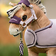 LeMieux LeMieux Toy Pony Headcollar