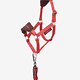 LeMieux LeMieux Hobby Horse Vogue Headcollar and Leadrope